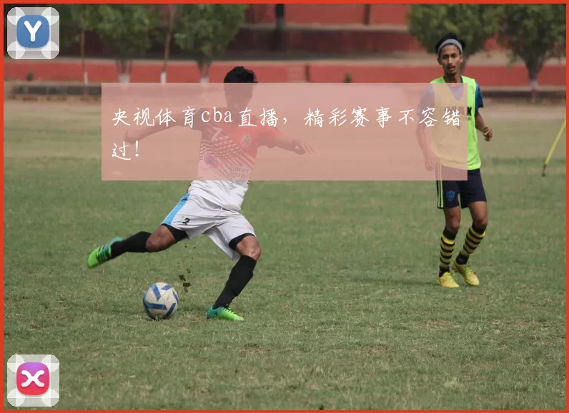 央视体育cba直播，精彩赛事不容错过！
